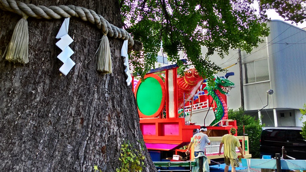 P_20150719_170637_HDR